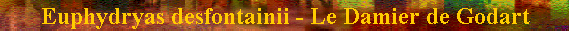 banniere.gif (19173 octets)