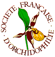Logo Société Française d'Orchidophilie