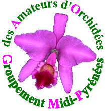 Logo Orchidées de la Haute-Garonne